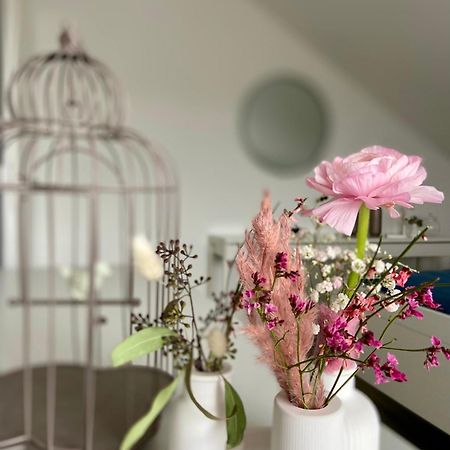 Fuldaliebe - Stadtnahe Moderne Ferienwohnung In フルダ エクステリア 写真