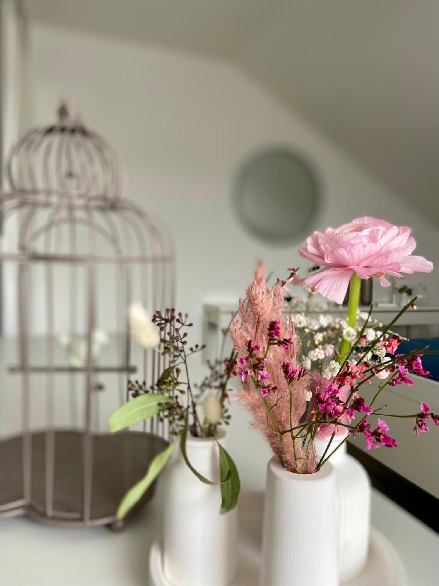 Fuldaliebe - Stadtnahe Moderne Ferienwohnung In フルダ エクステリア 写真